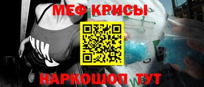 крисы Можга