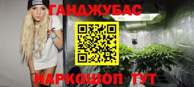 крисы Можга