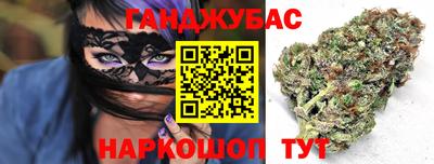 крисы Можга