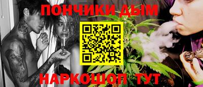крисы Можга