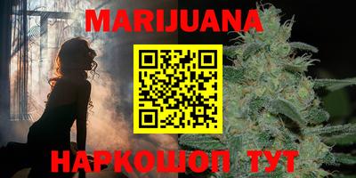 крисы Можга