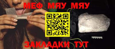 крисы Можга