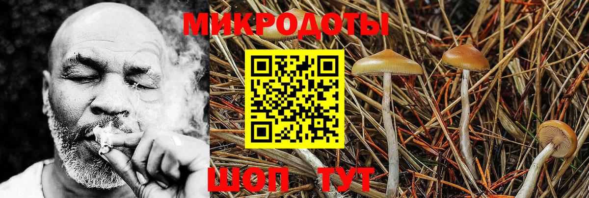 Серпухов  Псилоцибиновые грибы Psilocybine cubensis  Вход с VPN 